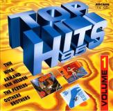 Top Hits 95 Volume 1